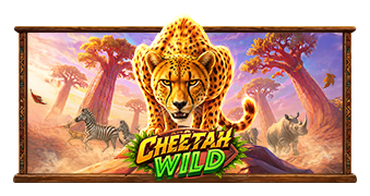 Cheetah Wild